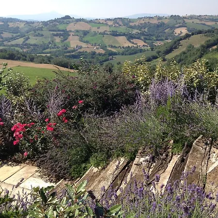 The Woodpecker Country house Sant'Angelo in Pontano