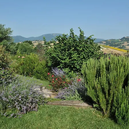 The Green Woodpecker Country house *